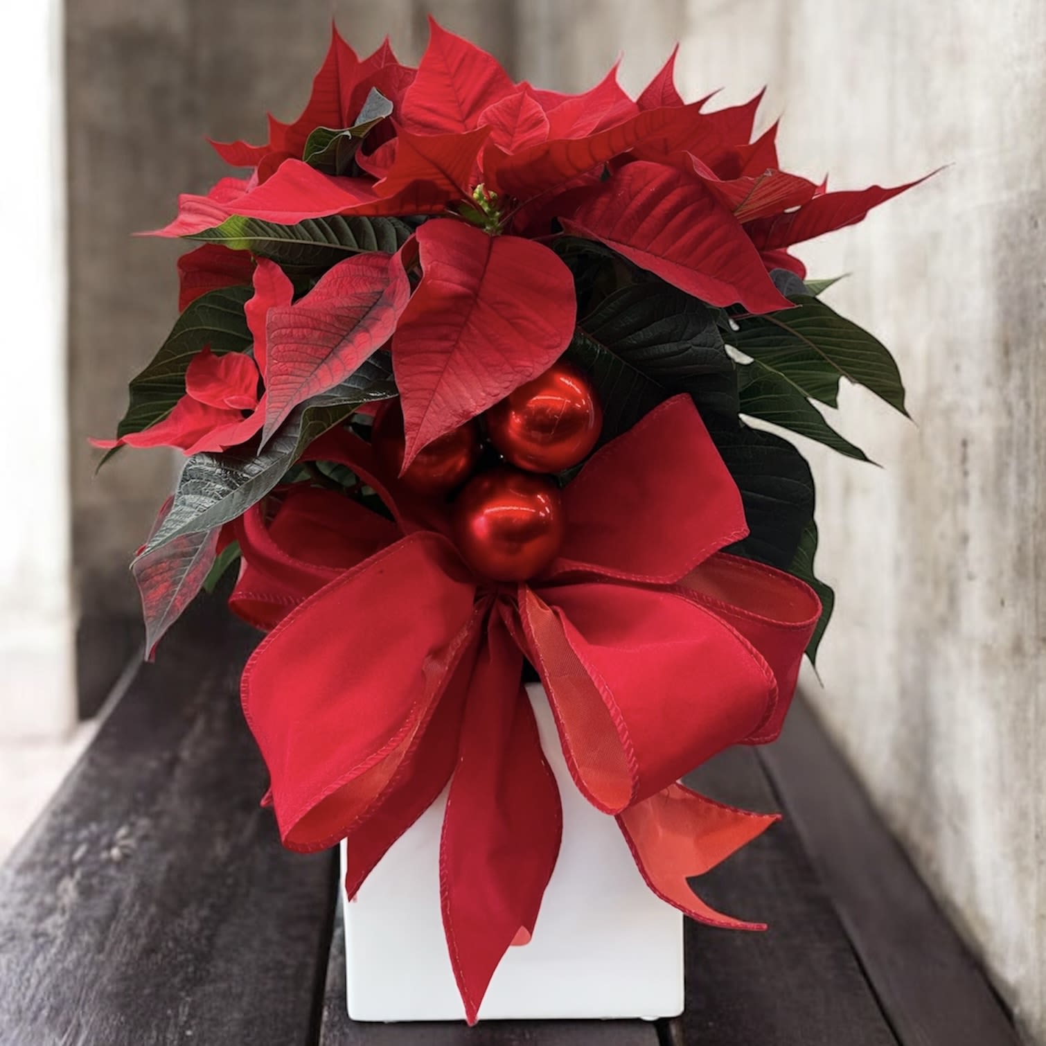 Holiday Luxe Poinsettia - This beautiful holiday plant features vibrant red and green leaves, complemented by elegant ornaments and a striking red bow that enhances its festive charm. Presented in a modern white container, it’s perfect for decorating entryways, living spaces, offices, or for gifting during the season. It’s an ideal choice to add color, joy, and holiday spirit to any setting.