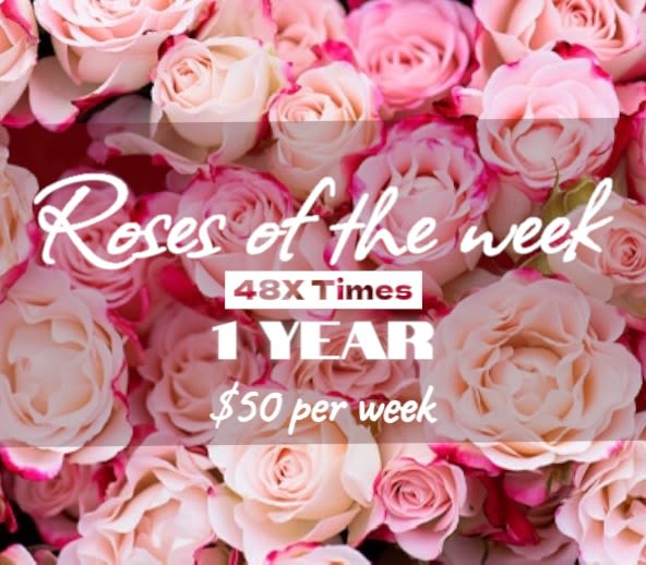Close-up of pale pink roses with overlaid promotional text.