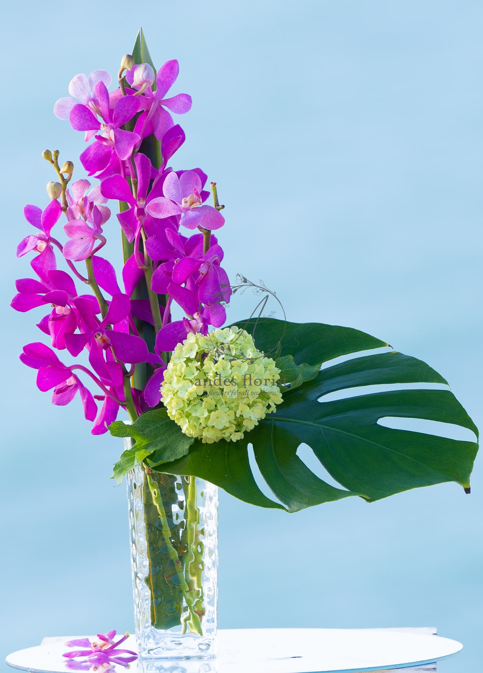 Pink orchids in a clear glass vase with a green leaf and pale hydrangea bloom
