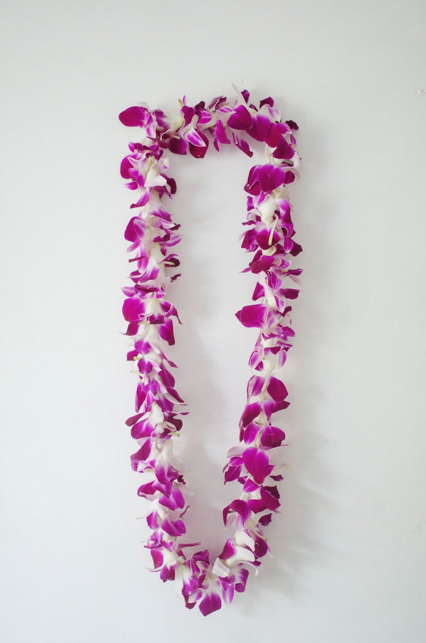 Purple and white orchid lei on a plain white background