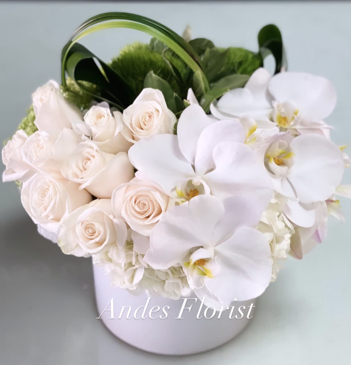 White roses and orchids arranged in a pale round box