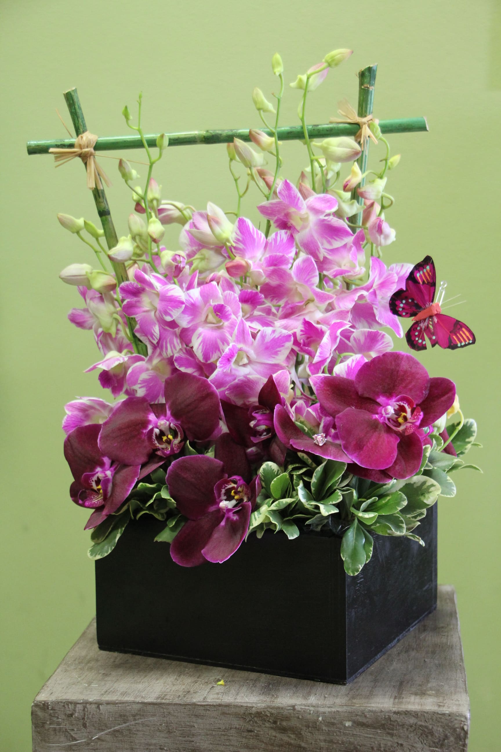 Orchid arrangement in a black box with a butterfly accent