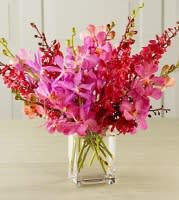 Pink and red orchid arrangement in a clear glass vase