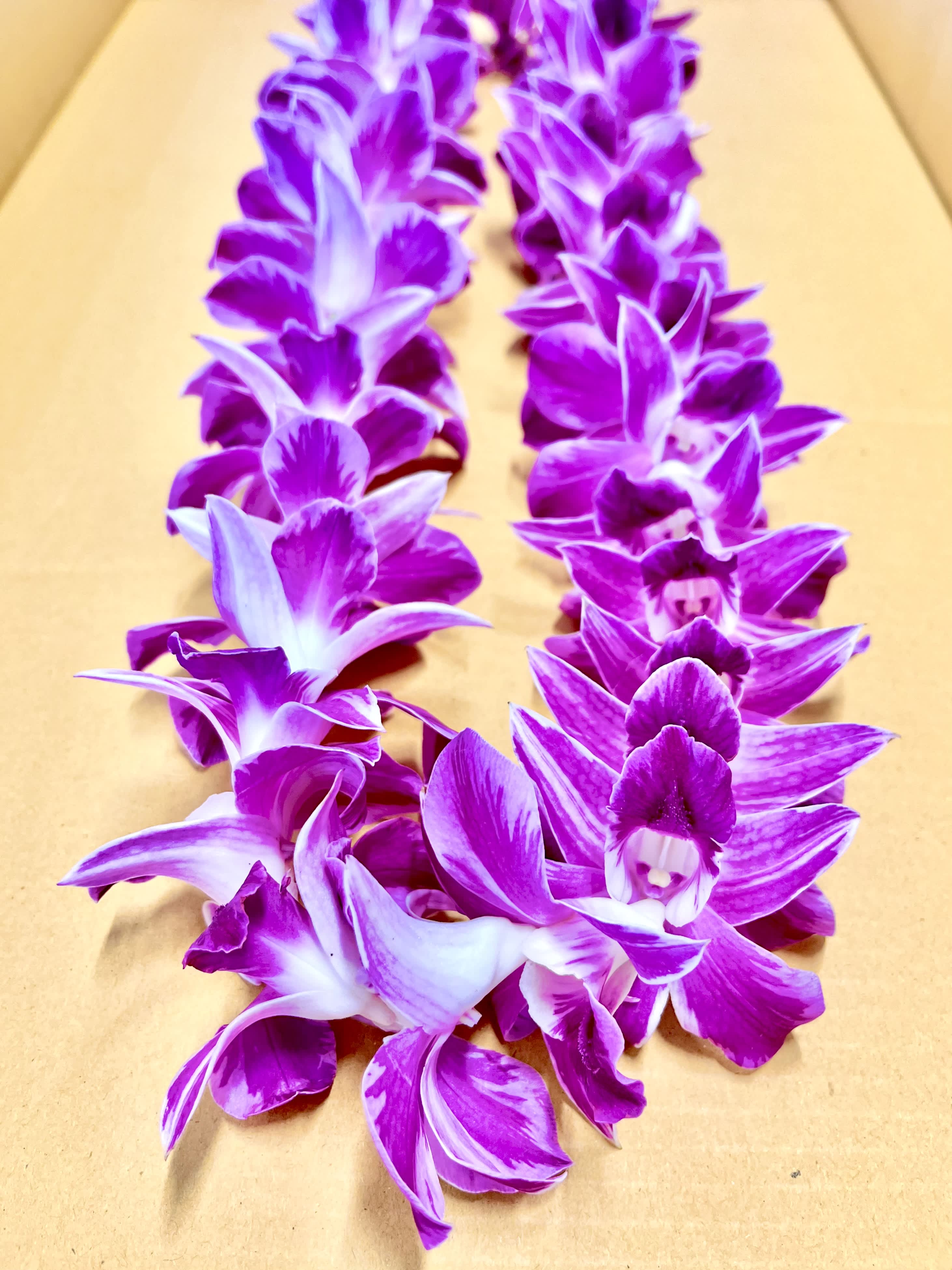 PENNAPA  SONYA ORCHID LEI - Single  ORCHID LEI.  (NEW COLOR for This week)    Pennapa.   Single lei.       add a lei to your request….    **$75.00 MINIMUM PLUS DELIVERY)