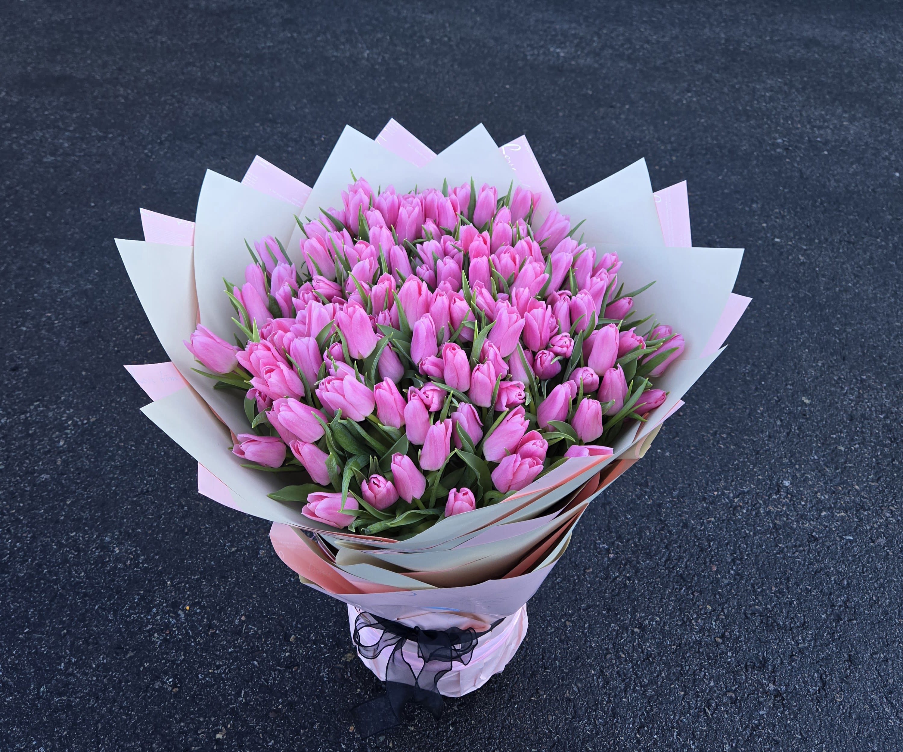 Bouquet of pink tulips wrapped in white and pink paper