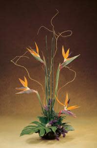 Tall tropical flower arrangement with orange bird-of-paradise blooms