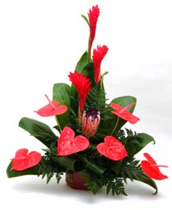 Tropical arrangement with red heart-shaped blooms and tall red spikes in a low red pot