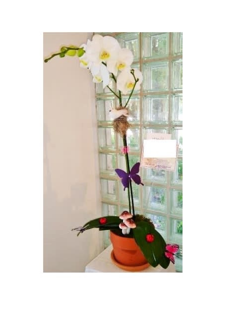 Potted orchid arrangement with white blooms and a purple butterfly decoration