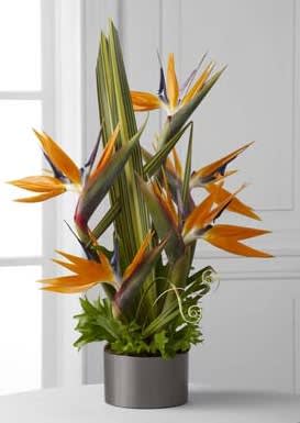 Bird of paradise arrangement in a gray cylindrical vase