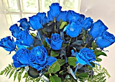 Bouquet of vivid blue roses with green foliage