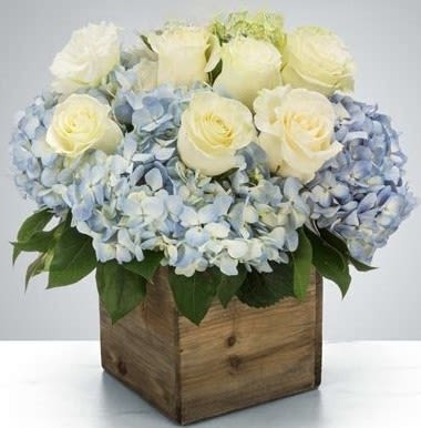 Sail Away - Send something to let them know you care. Featuring blue hydrangea and white roses, this arrangement is a nice way to show you are thinking of somebody in their time of need.     Approximate Dimensions: 8"D x 8"H