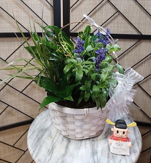 Potted green plant with purple flowers in a white basket, plus a small figurine.
