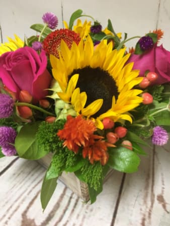 Low wood box arrangement with a sunflower, pink roses, and bright mixed flowers.