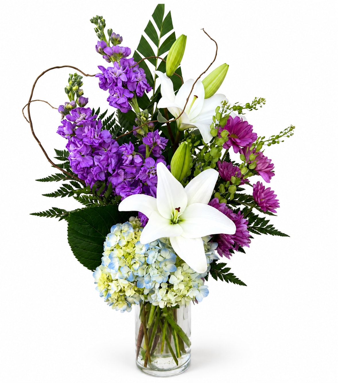 Flourished  - Large white lilies rise above a lush cloud of pale blue and cream hydrangeas, punctuated by vivid purple stock and chrysanthemums to create a tall, elegant flower arrangement perfect for a birthday celebration, anniversary, or a refined sympathy display. The vertical silhouette and dramatic contrast between white and deep purple give the recipient a feeling of thoughtful presence and quiet grandeur-an arrangement that makes someone feel genuinely honored and seen.  The design includes fragrant white lilies, rounded masses of blue/cream hydrangea, purple stock, and purple chrysanthemums, arranged with broad green foliage and decorative curly branches for added height and movement. Delivered in a clear glass vase, Flourished presents layered texture and structured formality while remaining fresh and tasteful.  Ideal for sending to the person you want to celebrate, comfort, or recognize with a sophisticated bouquet, Flourished suits mantle displays, entryway tables, or funeral settings where a dignified statement is needed. Care is simple: keep water fresh, trim stems occasionally, and place away from direct heat to prolong the life of the lilies and hydrangeas.