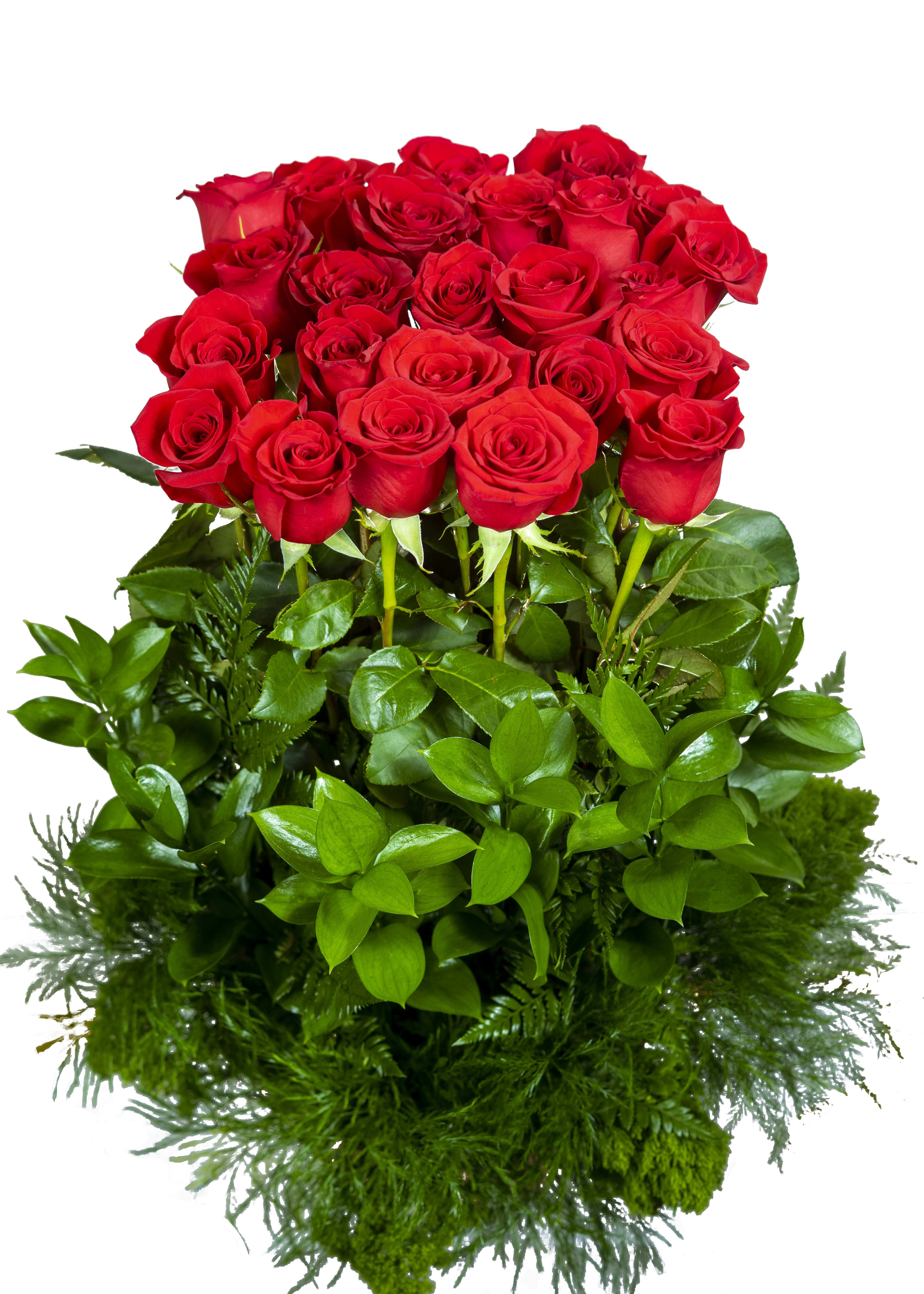 A bouquet of red roses with dense green foliage