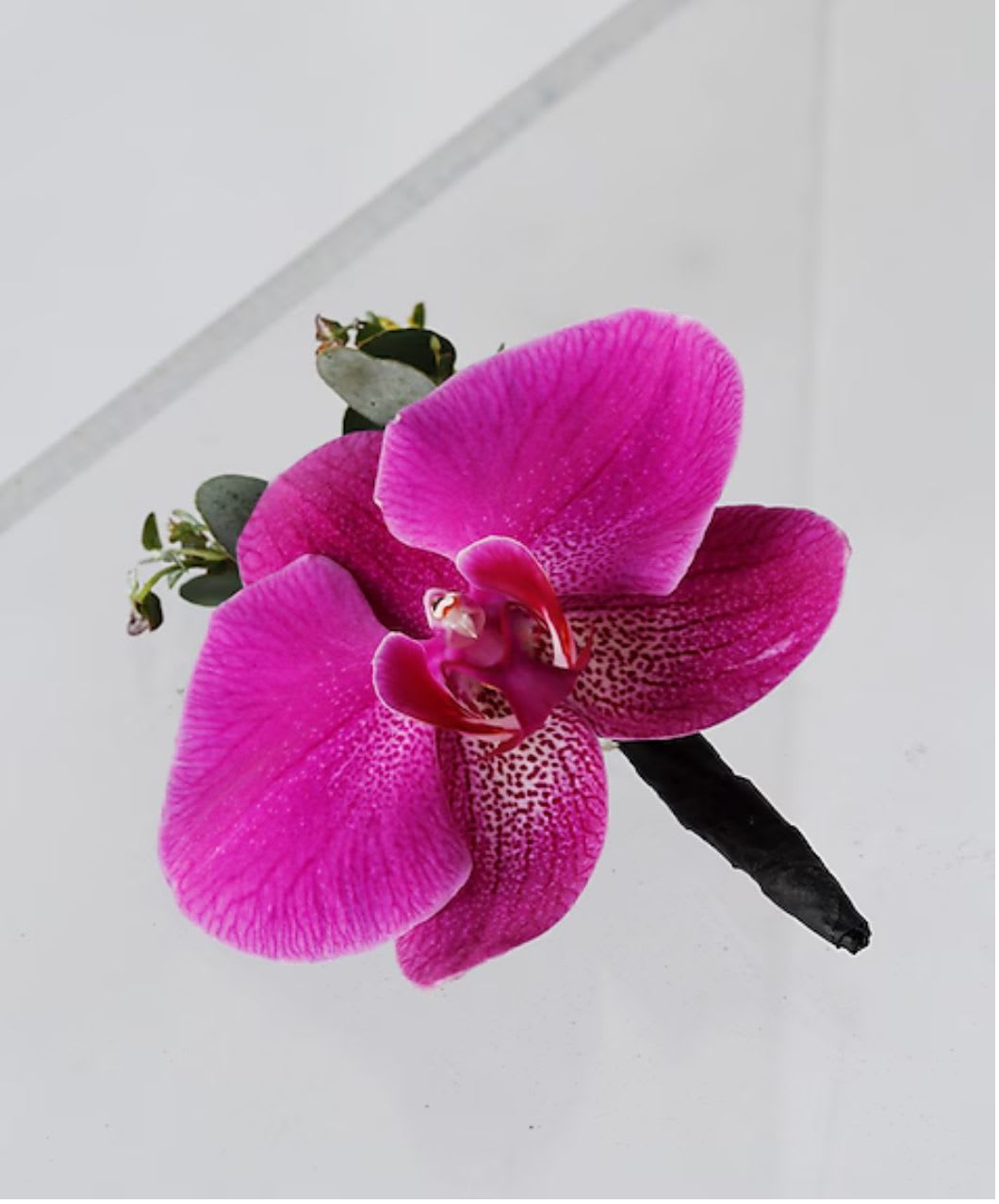 Bright pink orchid boutonniere with small greenery