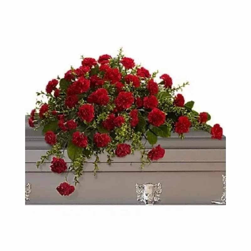CASKET SPRAY CARNATIONS - A full cascade of deep red carnations draped over a gray casket creates a solemn, dignified tribute perfect for a funeral or memorial service. This casket spray flower arrangement is designed to convey respect and lasting affection-the rich red tones read as traditional and heartfelt, while the trailing greenery adds gentle movement that softens the formal silhouette.  Dense clusters of red carnations form a rounded, full spray across the top of the casket, with sprigs of green foliage as accents to frame the shape and soften edges. Sized to cover the casket's lid, the piece presents a uniform, polished look appropriate for a service or viewing. Designed for floral tribute use, this arrangement offers a classic statement of sympathy that will help the person you're honoring feel remembered and respected.