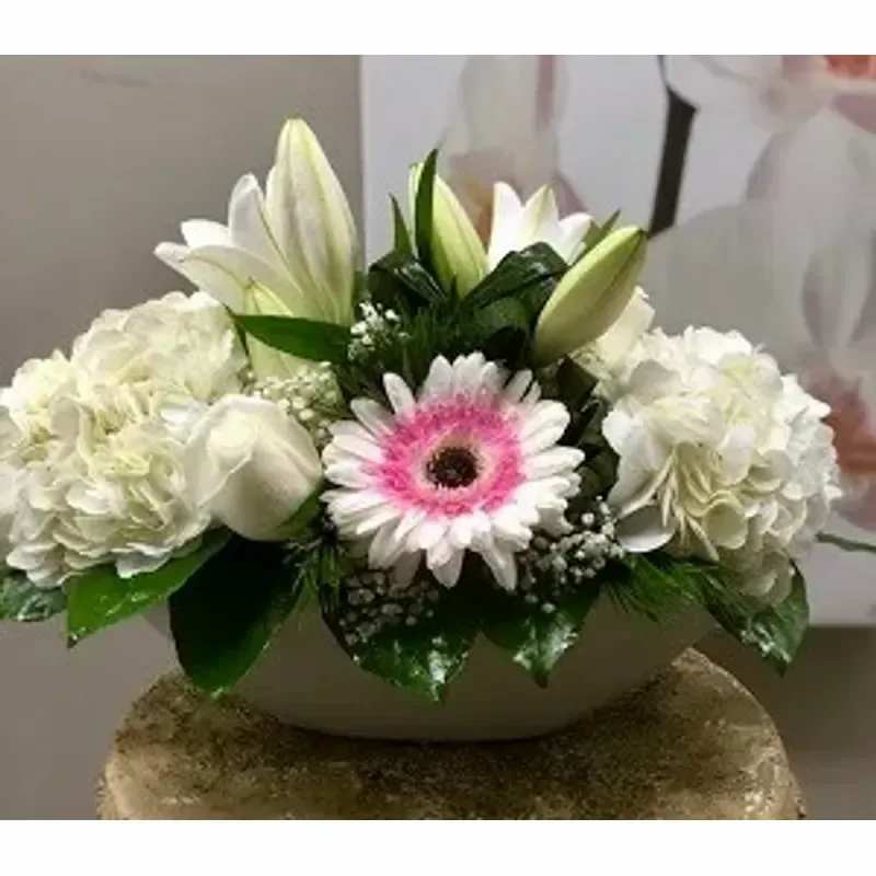 DELI-VA-WH - WHITE CERAMIC POT WITH WHITE SEASONAL FLOWERS. 
