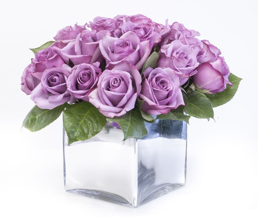 Lavender roses arranged in a clear square glass vase