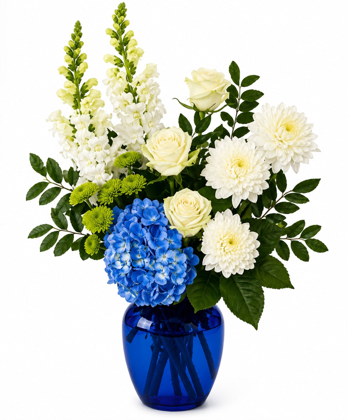 A Little Blue - A striking cluster of cobalt blue hydrangea anchors this white-and-blue floral arrangement, designed to make the person you're thinking of feel seen and comforted. A Little Blue works beautifully as a celebratory bouquet for milestones or as a tasteful sympathy arrangement-the bold blue-and-white palette reads both joyful and respectfully elegant.  Creamy white roses, tall white snapdragons, and white chrysanthemums form the arrangement's vertical and textural layers, while bright green button mums and glossy foliage provide fresh contrast and structure. The blooms are arranged in a rich blue glass vase that enhances the hydrangea's color and gives the composition a formal, slightly dramatic silhouette.  Perfect for sending to a friend, colleague, or family member to mark an important occasion or to offer sympathy, this design arrives ready to display in the included cobalt vase. For best longevity, keep the water fresh and the arrangement out of direct heat or sunlight to help the roses and hydrangea stay vibrant.