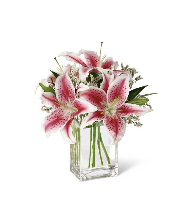 Pink and white lilies arranged in a clear glass vase