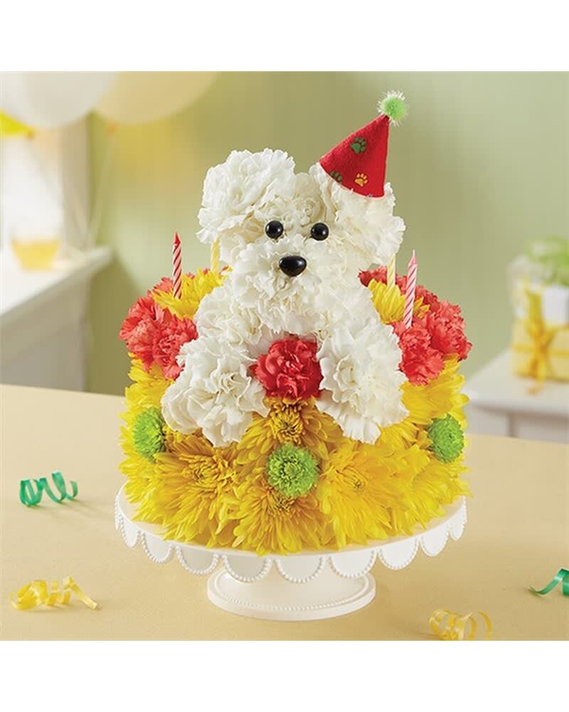 BIRTHDAY WISHES FLOWER CAKE- PUPCAKE - Celebrate a loyal friend on their birthday with our unique and whimsical Pupcake™! Crafted of white carnations and topped with a festive party hat, our adorable pup pops out from our cake of fresh vibrant blooms. Served up on a pedestal stand and accented with candles, it’s an unforgettable way to bring fun to their celebration. ***** VASE PLATE WILL VARY ****