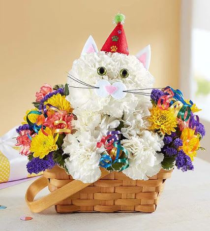 Purrfect Party Cat - Every birthday party needs a party animal…especially one as cute as ours! Our truly original kitty is handcrafted from crisp white carnations and surrounded by a mix of colorful blooms, creating a unique 3D design. Arriving inside a charming handled basket and ready to celebrate—accented with a party hat and colorful curling ribbon—this whimsical whiskered pal is the “purr-fect” pick for wishing someone special a day full of fun…no matter what age they’re turning!  ** BASKET WILL VARY **