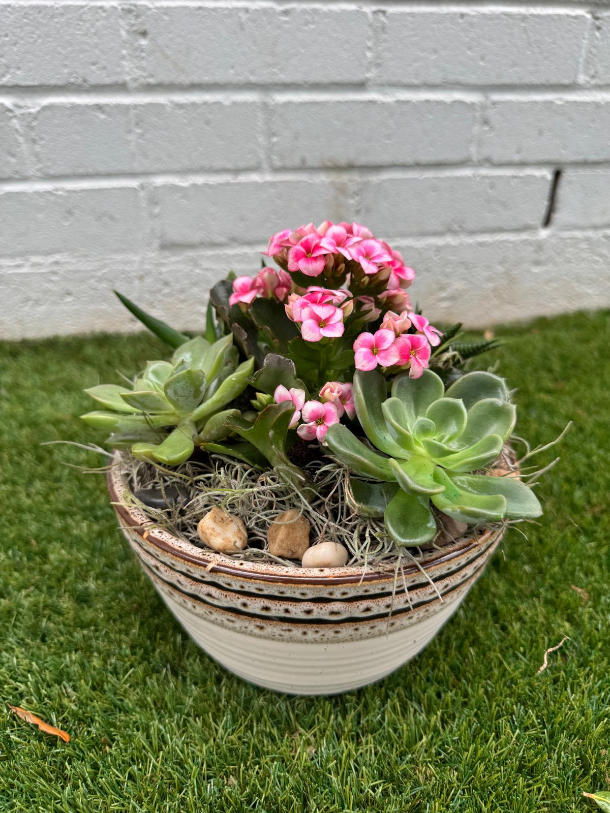 Potted succulent arrangement with pink flowers in a ceramic bowl
