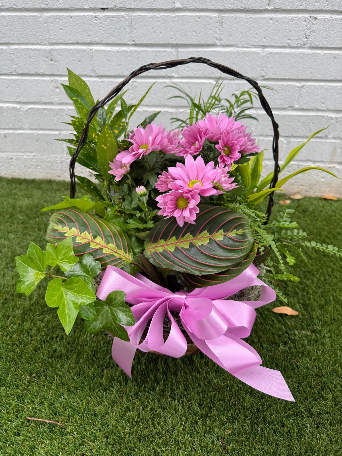Basket of pink daisies with mixed greenery and a pink ribbon bow