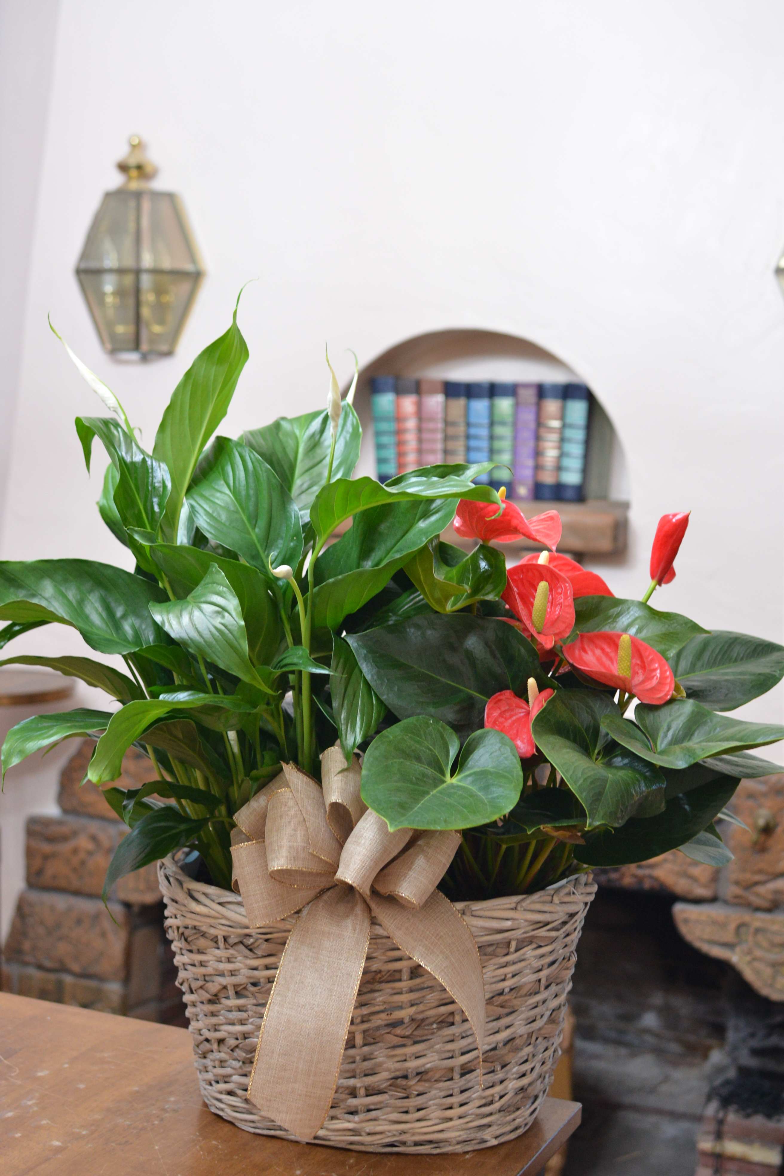 Basket arrangement with green houseplants and red anthurium blooms
