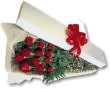Bouquet of red roses in white wrapping with a red ribbon