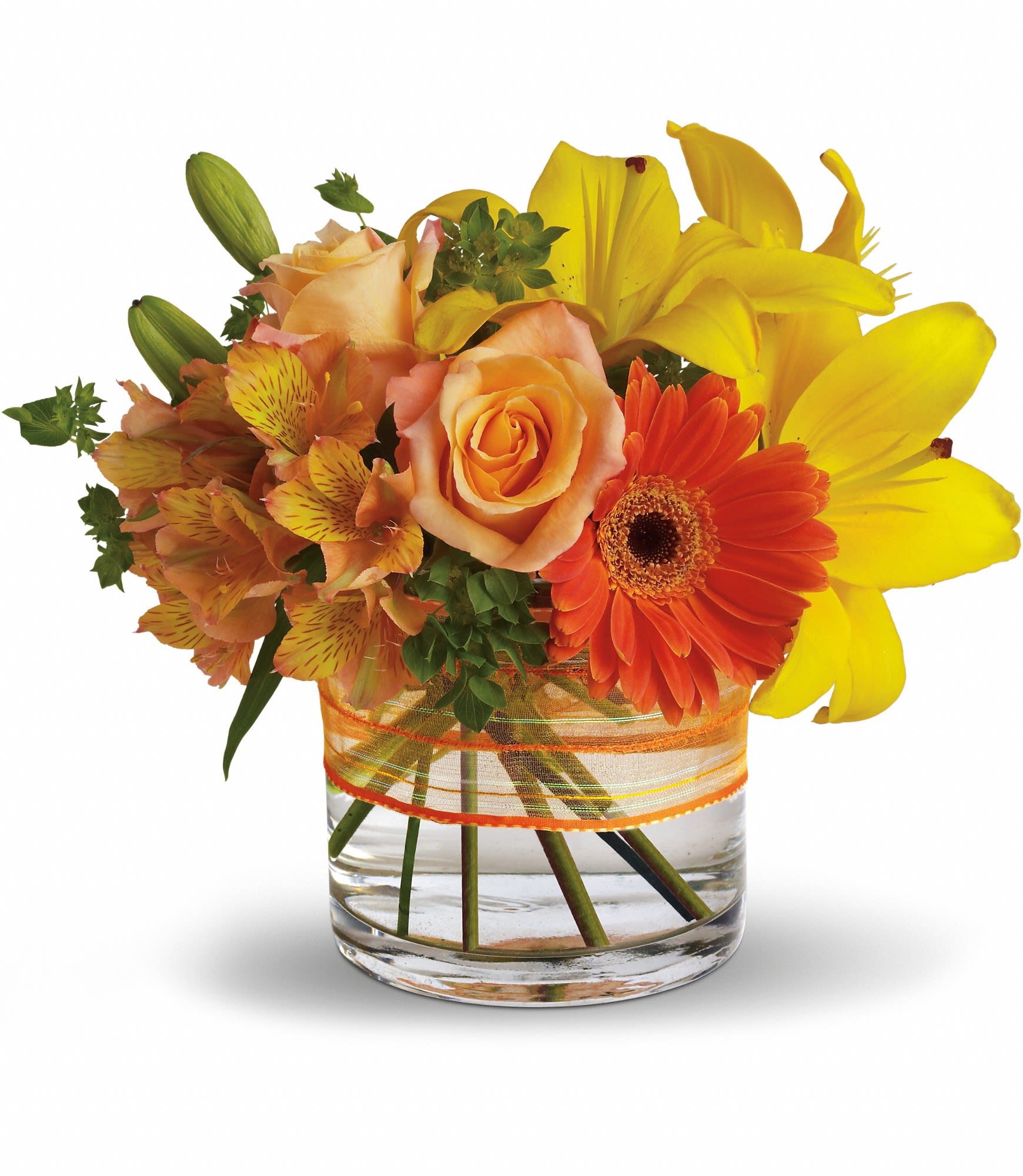 Sunny Siesta - Know someone who could use a little pick-me-up? Sending this pretty summer arrangement will definitely do the trick.  Light orange roses and alstroemeria, yellow asiatic lilies and orange gerberas are delivered in an organza ribbon-wrapped cylinder vase. Siesta or fiesta - it's all good.  Approximately 11 1/2" W x 10" H  Orientation: All-Around  As Shown : T157-3A Deluxe : T157-3B Premium : T157-3C