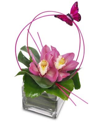 Pink orchids in a glass vase with a butterfly accent