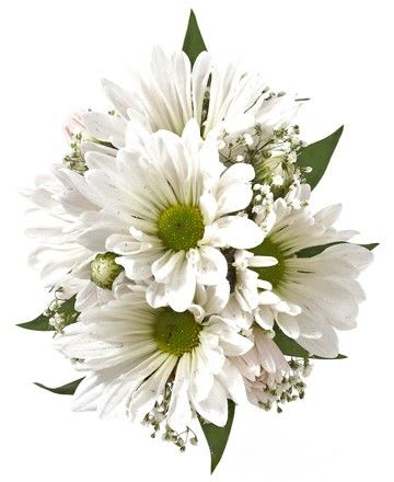 White daisy bouquet with green centers and small filler flowers