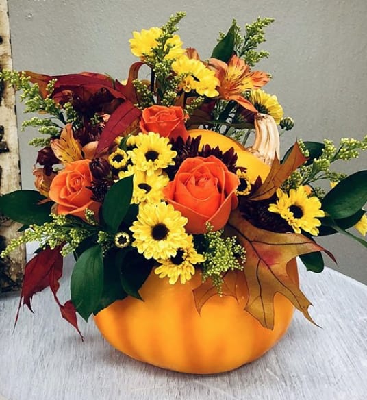 Cutest Pumpkin In the Patch - Super cute fall bloom filled pumpkin. Love it!  Because our designs often contain many different blooms sometimes there will be substitutions. The over all color scheme and scope of the design will always be carried out. If there is a particular bloom or design element that is very important to you please indicate it under special instructions.   Most of our designs are available in different color options. Please call us at 714-738-0100 if you would like to customize an order. 