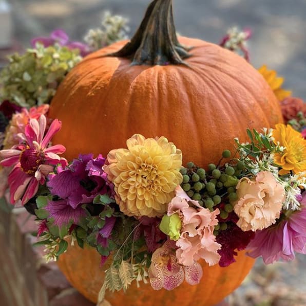 Pumpkin Burst! - Perfect for fall. This pumpkin is literally bursting with blooms