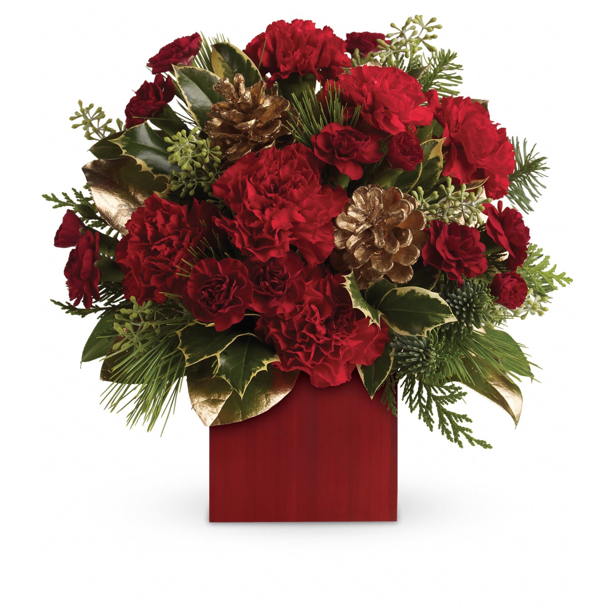 Give me the Gold- Pinecones that is. - Warm up cold winter days with good cheer! Red roses are delightfully arranged in our rich red bamboo cube.  Red carnations and maroon miniature carnations are accented with tips of noble fir, flat cedar, holly, white pine and assorted greens. Delivered in Teleflora's red bamboo cube.  Approximately 12" W x 12" H  Orientation: One-Sided  