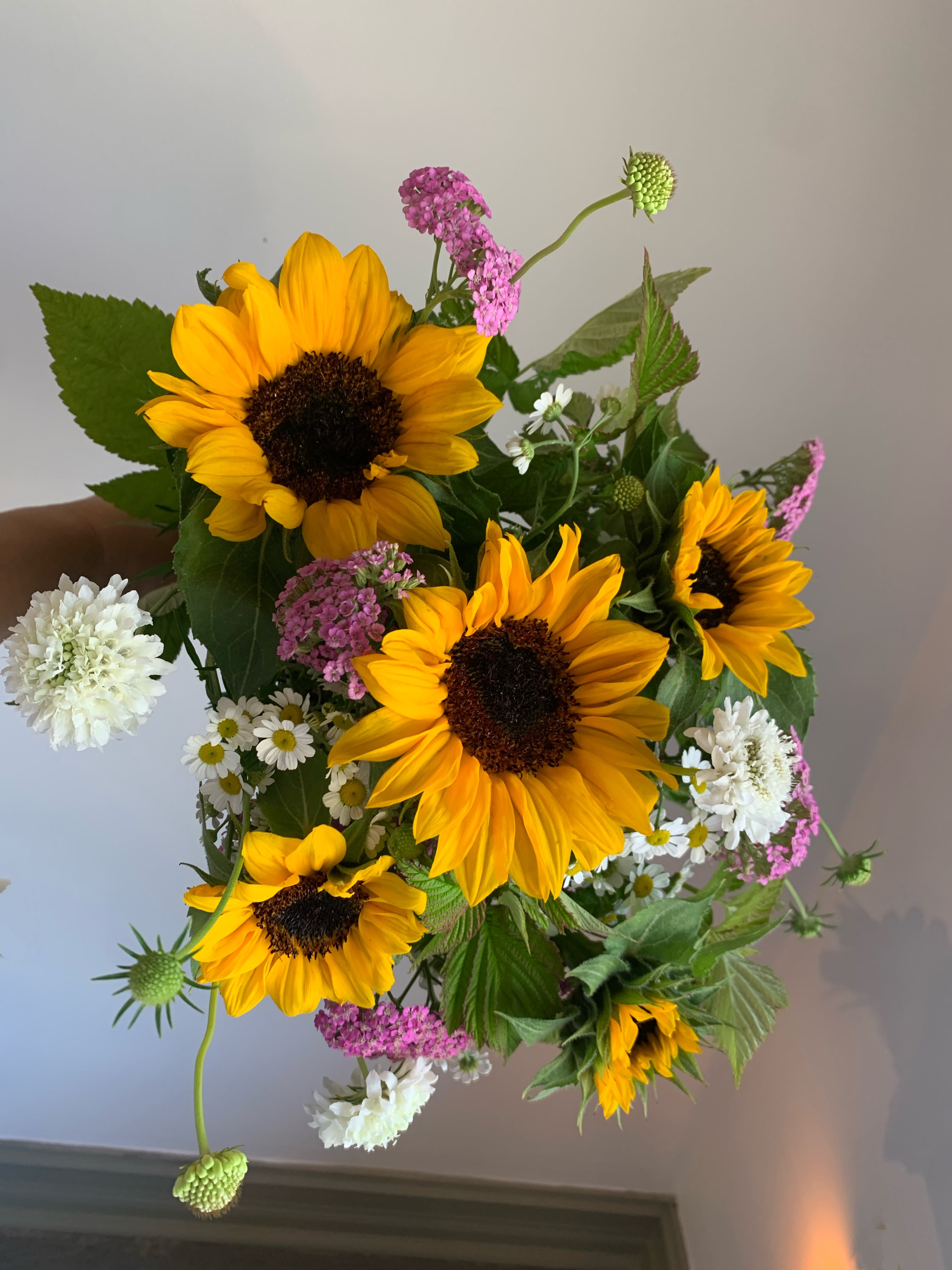 Bouquet of yellow sunflowers with pink and white filler flowers