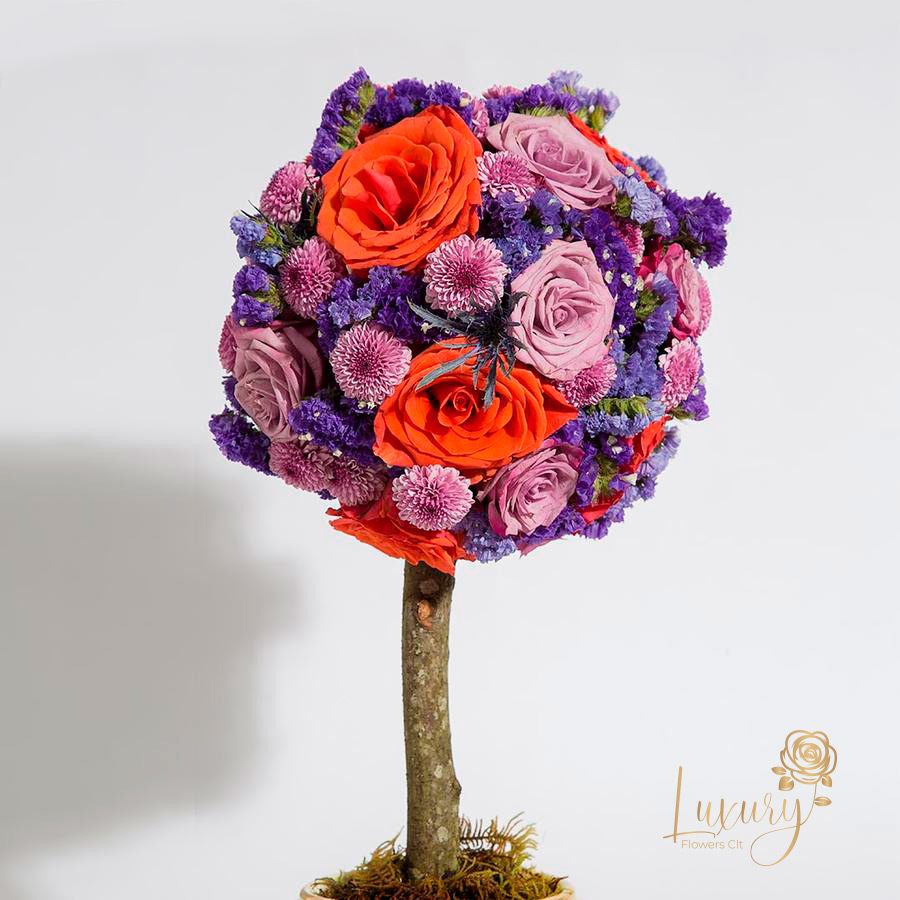 Topiary Josephine - "PLACE YOUR ORDER AT LEAST 2 DAYS PRIOR TO THE DELIVERY DATE”  These flower trees will make anyone fall in love. Each one is unique. All Occasions. Size: 6" in diameter of the topiary. Ceramic Pot. Check our coverage area.  Occasionally, flowers and/or container substitutions occur due to weather, seasonality, and market conditions, which may affect availability. If this is the case with the gift you’ve selected, we will ensure that the style, theme, and color scheme of your arrangement are preserved and will only substitute items of equal value or higher value 