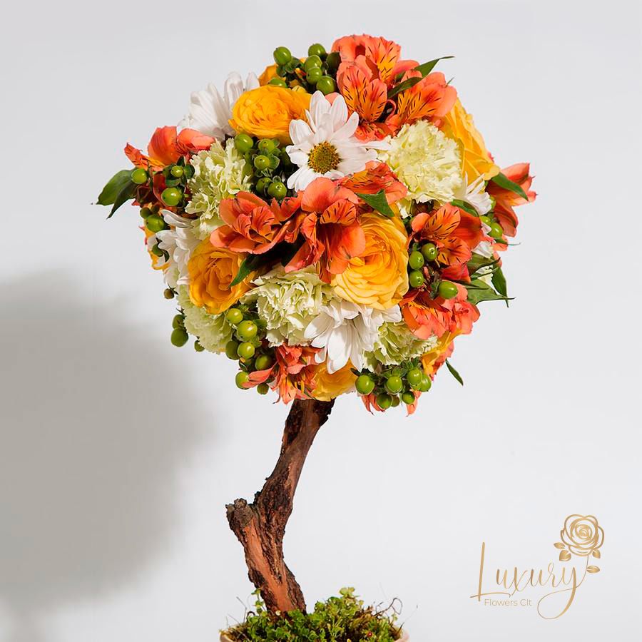 Topiary Stelle - "PLACE YOUR ORDER AT LEAST 2 DAYS PRIOR TO THE DELIVERY DATE”  These flower trees will make anyone fall in love. Each one is unique. All Occasions. Size: 6" in diameter of the topiary. Ceramic Pot. Check our coverage area.  Occasionally, flowers and/or container substitutions occur due to weather, seasonality, and market conditions, which may affect availability. If this is the case with the gift you’ve selected, we will ensure that the style, theme, and color scheme of your arrangement are preserved and will only substitute items of equal value or higher value 