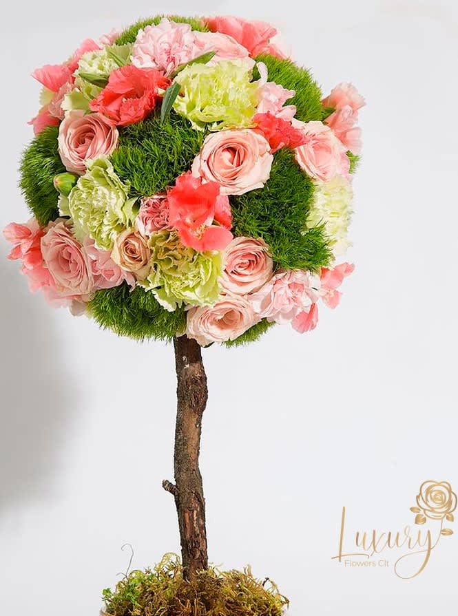 Topiary Zoe - "PLACE YOUR ORDER AT LEAST 2 DAYS PRIOR TO THE DELIVERY DATE”  These flower trees will make anyone fall in love. Each one is unique. All Occasions. Size: 6" in diameter of the topiary. Ceramic Pot. Check our coverage area.  Occasionally, flowers and/or container substitutions occur due to weather, seasonality, and market conditions, which may affect availability. If this is the case with the gift you’ve selected, we will ensure that the style, theme, and color scheme of your arrangement are preserved and will only substitute items of equal value or higher value 