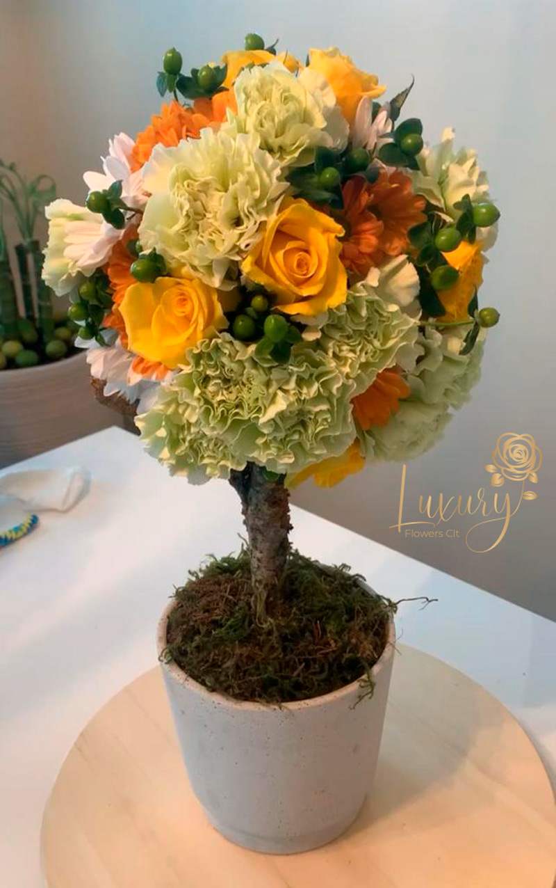 Topiary Anne Marie - "PLACE YOUR ORDER AT LEAST 2 DAYS PRIOR TO THE DELIVERY DATE”  These flower trees will make anyone fall in love. Each one is unique. All Occasion Size: 6" in diameter of the topiary. Ceramic Pot.  Check our coverage area. Occasionally, flowers and/or container substitutions occur due to weather, seasonality, and market conditions, which may affect availability. If this is the case with the gift you’ve selected, we will ensure that the style, theme, and color scheme of your arrangement are preserved and will only substitute items of equal value or higher value