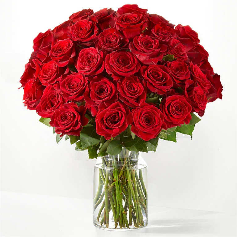 Three Dozen Red Rose - Elevate your standards with our premium selection of red roses. Renowned for their timeless beauty, these 36 hand-selected blooms serve as the ultimate tribute to a unique and lasting bond. With impeccable quality and a commanding presence, this bouquet is meticulously crafted to captivate and inspire.  All Occasion Crystal-Clear Glass Vessel  Place your Order Online Monday to Saturday before 1:00 p.m. (E.T.) for same-day delivery. “Orders received after hours will be delivered the next business day”. Check our coverage area. Occasionally, substitutions of flowers and/or containers happen due to weather, seasonality, and market conditions which may affect availability. If this is the case with the gift you’ve selected, we will ensure that the style, theme, and color scheme of your arrangement are preserved and will only substitute items of equal value or higher value.