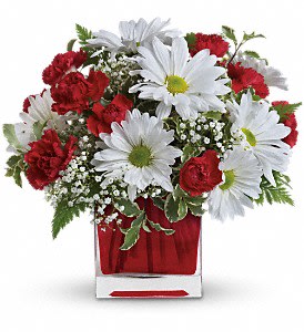 Red and White Delight - red glass cube all around design long lasting flowers, carnation and daisies