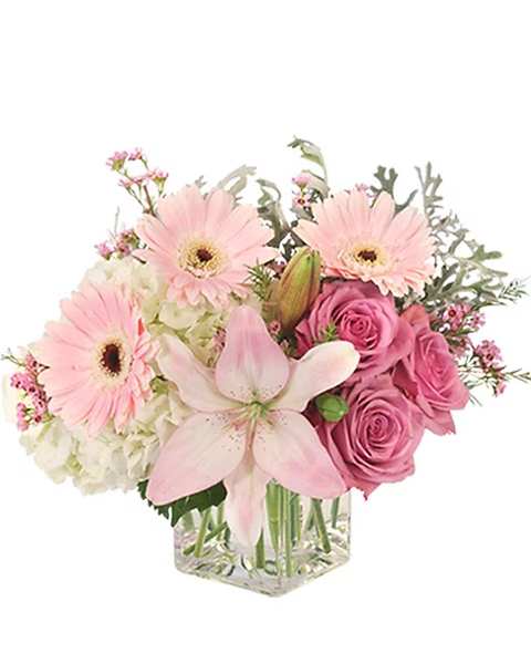 Pink gerbera daisies and roses in a clear glass vase