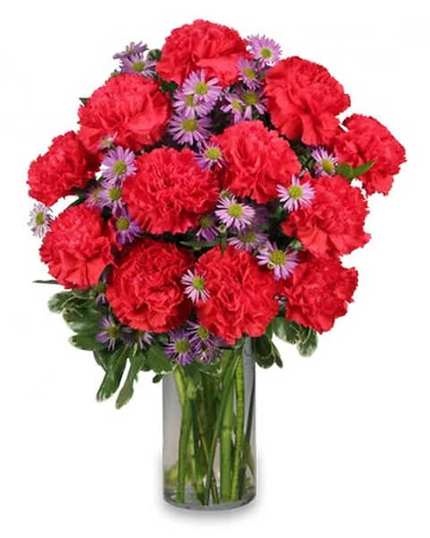 Red carnations and purple daisies in a clear glass vase