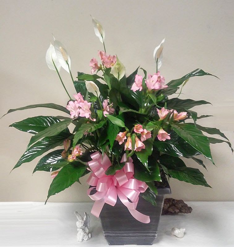 Pink flowers in a dark square vase with a pink ribbon