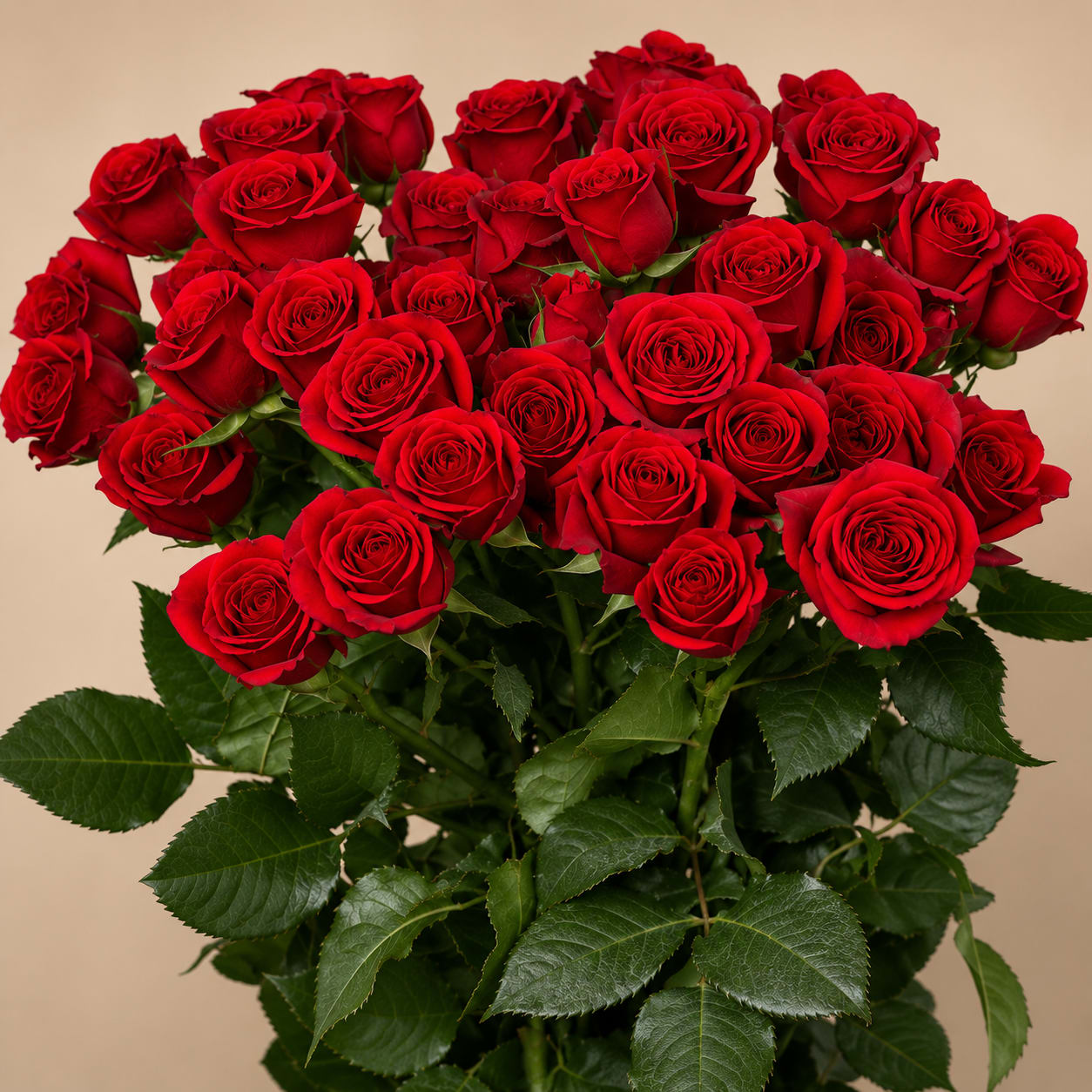 Bouquet of red roses with green leaves
