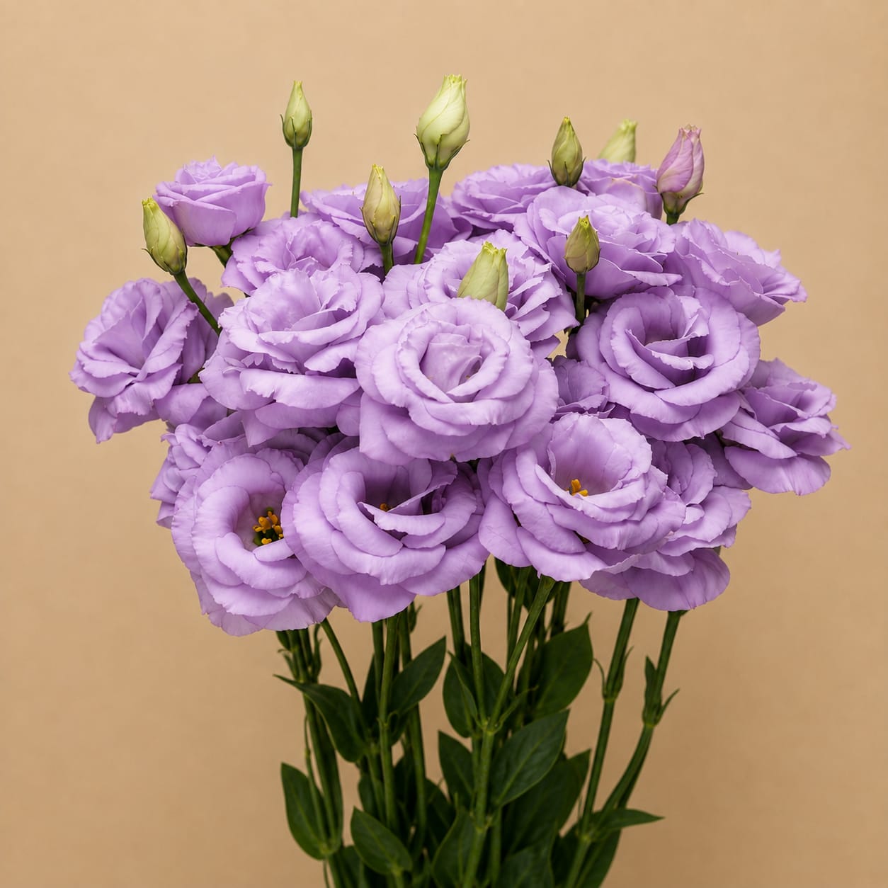 Bouquet of lavender lisianthus flowers with green buds