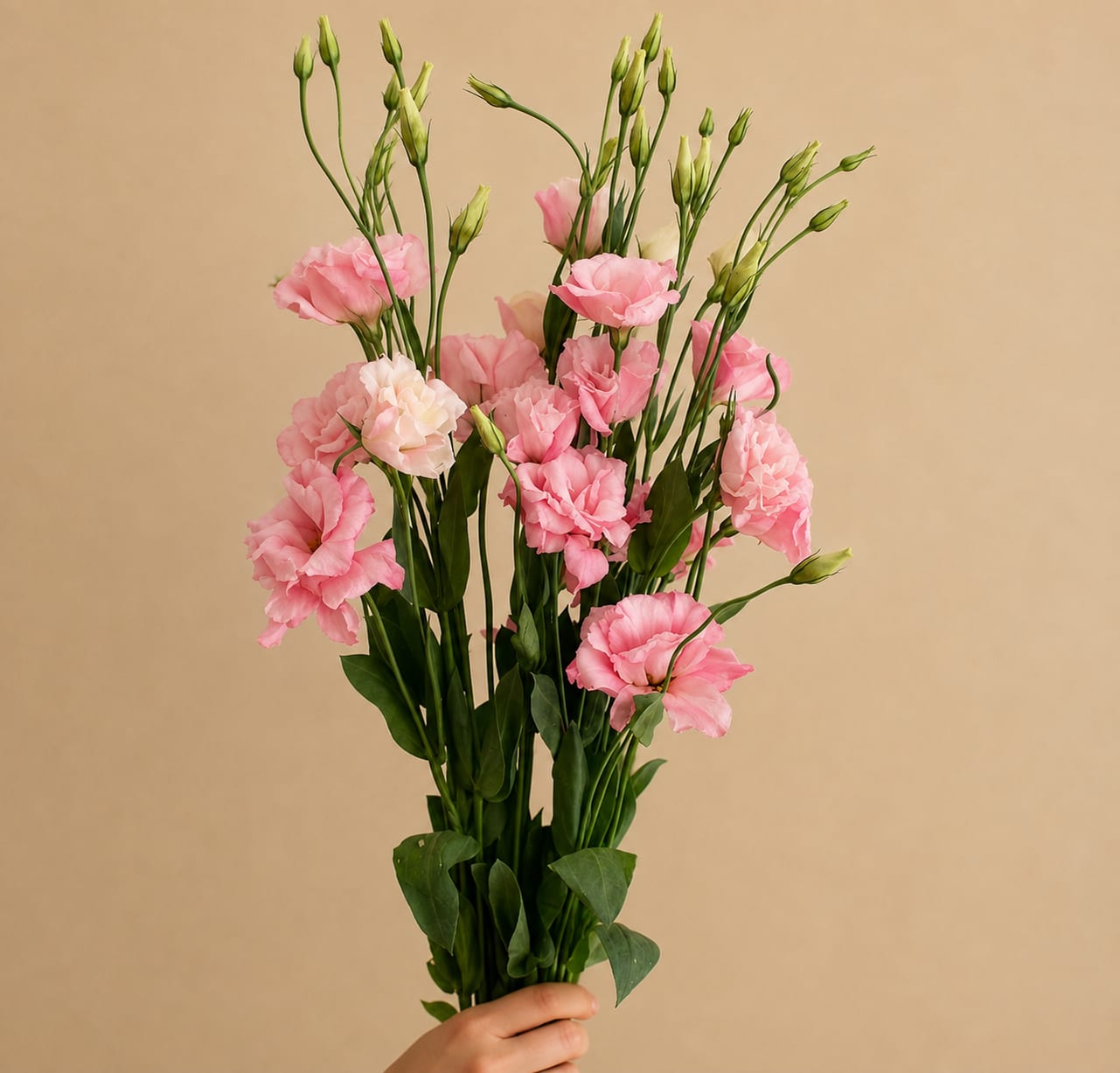 Handheld bouquet of pink lisianthus flowers with green buds